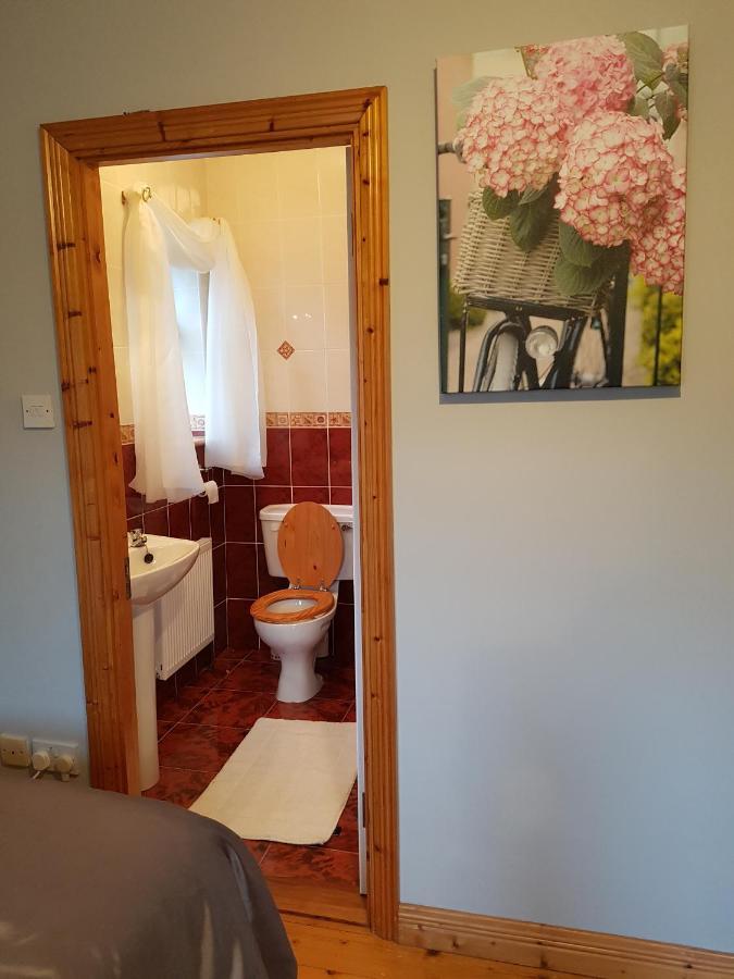 Apartamento Hillgrove House Boyle Exterior foto